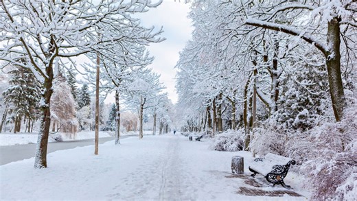 La Niña, polar vortex cast a wintry shadow over Canada's February outlook