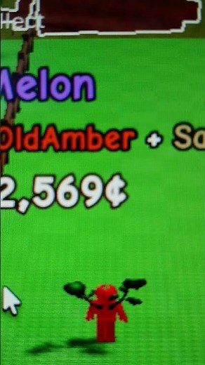 new mutation in grow a garden (old amber #growagarden