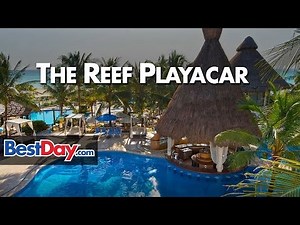 The Reef Playacar