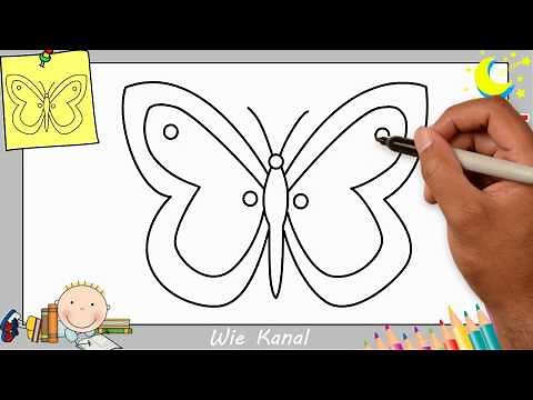 Schmetterling zeichnen lernen einfach schritt für schritt für anfänger & kinder 6