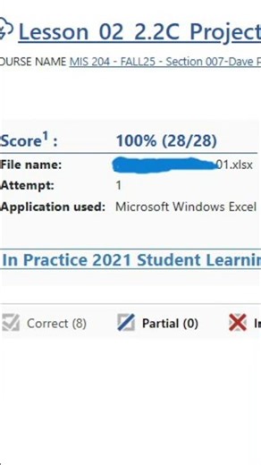 Excel module 2 project | Excel module 2 exam | Excel module 3 project | Excel module 4 project