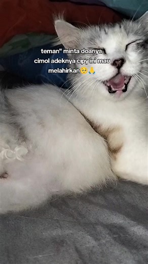 beberapa hari ini dibuat kawatir saja sama anak