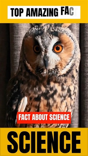 Top 5 Interesting Facts About Science