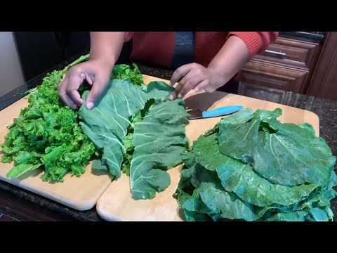 How to Make the Best Southern Greens Everything You Need to Know | Collards Mustards Turnips