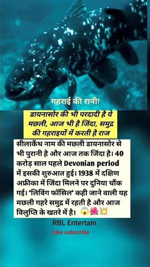 क्या ये सच में डायनासोर की परदादी है? चौंकाने वाला सच #shorts #shortsfeed #Coelacanth #AncientFishi🙂