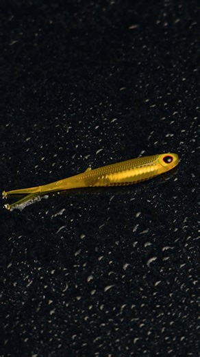 The Live Ops Wingman with an integrated foil system in the belly makes this unique soft plastic look like the real thing! #nomadbass #Liveops #softplastic #CraftedByExperience | Nomad Design Tackle