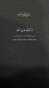 2.1K views · 154 reactions | The Noble Quran Surah Yusuf English Subtitle #SurahYusuf #HolyQuran #EnglishQuran #Islam #Peace | Quran Talks | Facebook