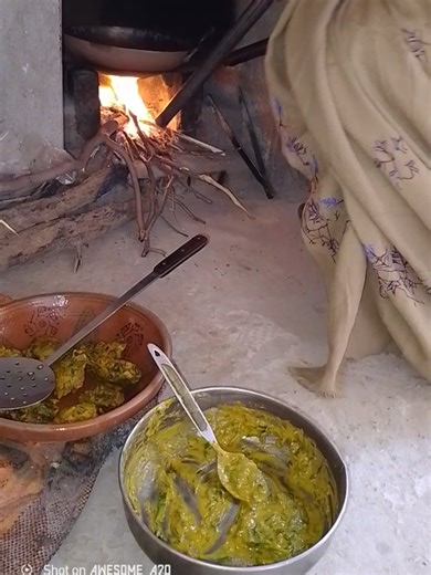 Exploring Village Life in Pakistan