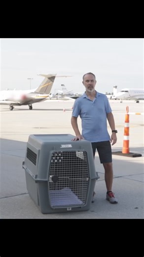 58K views · 520 reactions | Traveling in a cargo hold shouldn’t be...