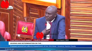 Senator William Kipkemoi Kisang takes on Kericho County Assembly ICT boss over the e-voting system in the ongoing impeachment proceedings of Kericho Governor Dr. Mutai Erick Kipkoech | Northrift News