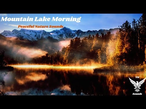 Mountain Lake Morning – Peaceful Nature Sounds with Birds & Gentle Waves for Relaxation