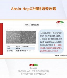 HepG2细胞培养攻略