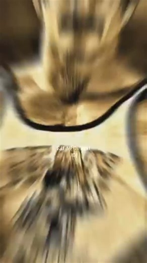 Mike Mentzer on Instagram