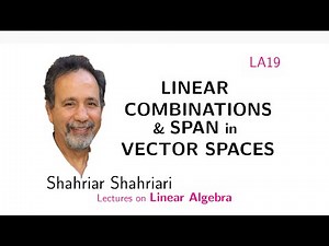 LA19 Linear Combinations and Span in a Vector Space