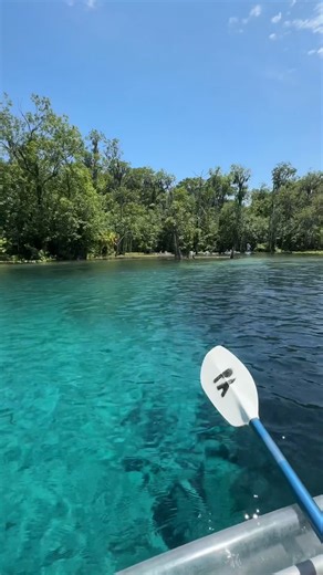 10K views · 54 reactions | Gliding through the crystal-clear waters...