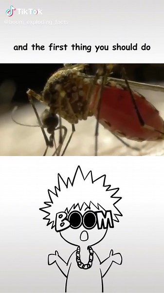 Facts About Repelling Mosquitoes with Music