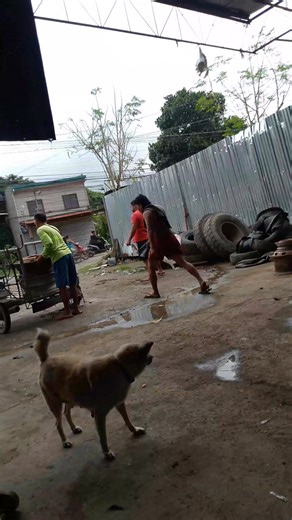 Assemble tubeless 2PCs for 600 pesos only Asben SandAnd Gravel #vulcanizingshopnearme #workdaily #fbpost2026シ #francisdomasigdioquinopahulachallengeschallenge #fbreelsfypシ゚ @highlight Vulcanizing Shop Near Me | Aldwin Agbon Plnay