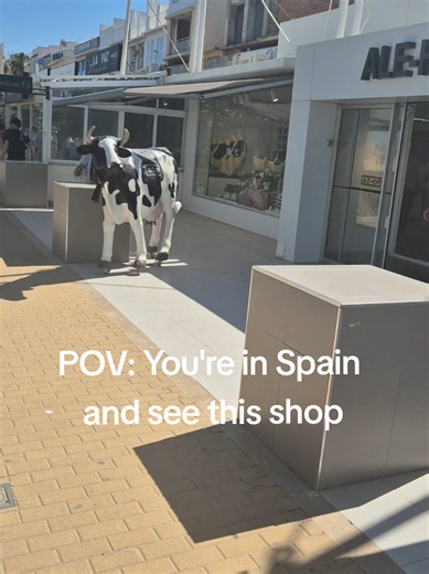 Discovering Ale-Hop: A Unique Shop Experience in Spain