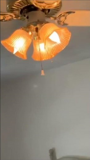 Litex? Harbor Breeze? White/Brass 42" Ceiling Fan