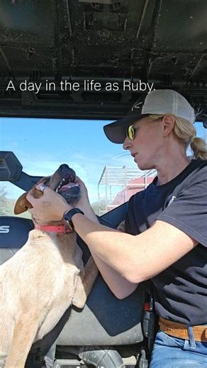 Ruby update: 6 months old and biting incessantly. Gates are the devil and must be heeled. Poppy is still her oversized chew toy. | D&D Beef