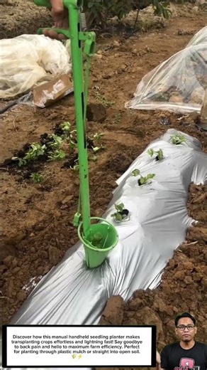 How to Plant Seedlings Fast Without Bending Over! 🌱 #FarmingHacks #GardeningTools #Agriculture