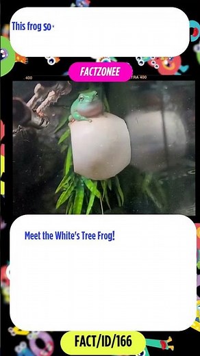 This Frog Sounds Like a Broken Engine! 🐸🔊