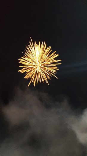 3'5 inch Palm tree Pyro🎇. #fireworks #crackers #pyroworld