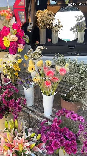 23K views · 292 reactions | "Mr. Florist: Where love blooms eternally. ❤️ Capture the romance with our exquisite bouquets, just ₱149. Find us at Brgy. Ligaya Baywalk!" | Mr. Florist Odiongan, Romblon | Facebook
