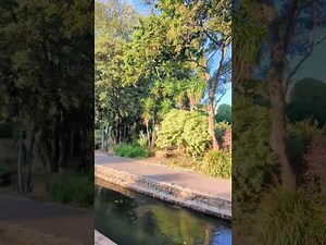 A Serene Summer Walk in Bournemouth Gardens 🌸🌿✨