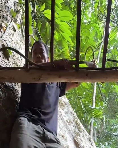 30K views · 81 reactions | Build a hidden shelter in a big tree | Amazing Videos | Facebook