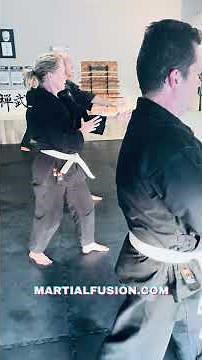Aikido Martial Fusion Training Drills