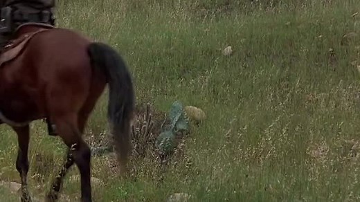 Born in East L.A. (1987) Full Movie Welcome to the movies and television