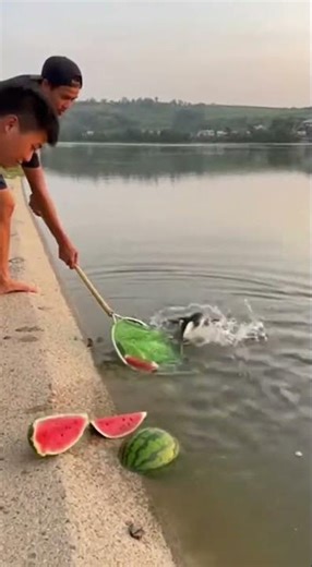 The river was calm… until they did THIS 🤯 #unexpectedmoment #natureiswild #realfishing