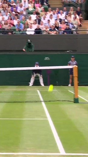 Medvedev Wimbledon Celebration: Take a Bow!