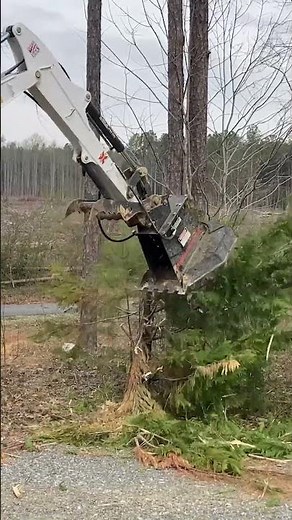 Rut MFG Mini Mulcher VS Christmas Tree #forestrymulching #excavatorattachments #brushcutter