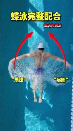 Butterfly stroke is fully integrated with the teaching demonstration#Swimming skills#Butte