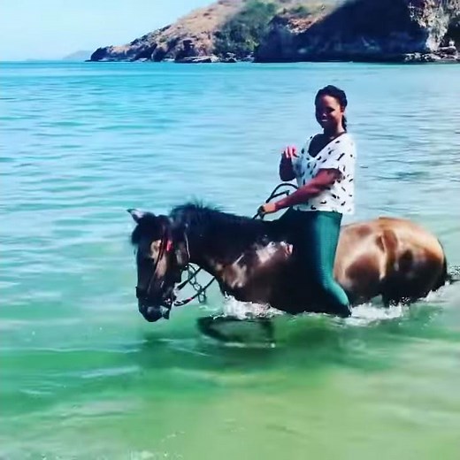 Swimming Horses in the Pacific Ocean