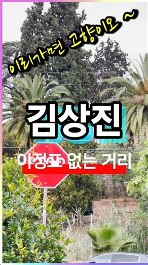이정표없는거리 (1970) | 김상진