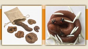 Watch Realistic Poop Fake Poop Crap Turd Shit Dog Poop Trick Props on Amazon Live