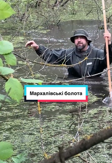 Мархалівські болота @Київський Ревізор @ЛАТИШ @SUPPORT MARKHALIVKA #меморіал #нвмк #корупція #свавілля #болото