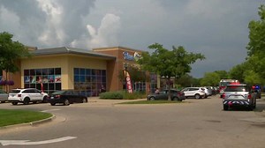 Iowa shark bite: Shark euthanized after biting employee at Blue Zoo in West Des Moines