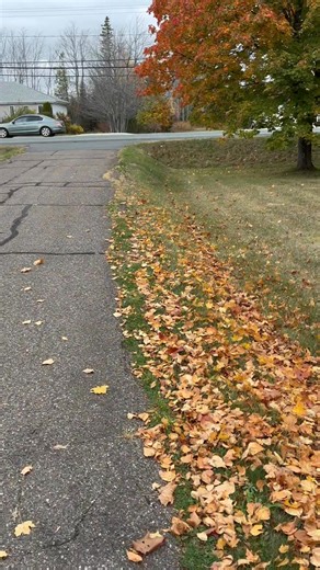 Lynn Basque on Reels