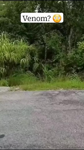 very dangerous 🤣🤣 #funpost #funny #funnyvideo #forfun #forfunonly #laughter #laugh #venom #fyp