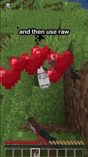 EVERY Mob You Can Tame In Minecraft!