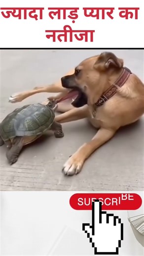 Funny Vedio /#funny #entertainment #jokes #laughing #motivation #funnyvideo #funnyshorts #trending