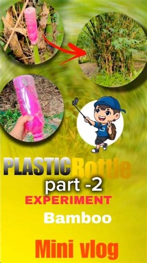 🤯😅 part - 2 plastic bottle experiment bamboo mini vlog #Ba