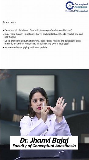 Branches of the Ulnar Nerve & TOF Monitoring Explained | Dr. Jhanvi Bajaj