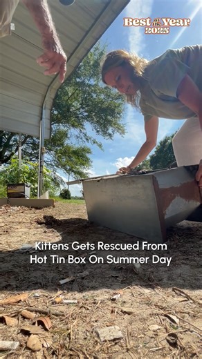 191K views · 2.8K reactions | Here are some of the best, most heartwarming, rescues of the year!  #Dogs #Cats #Wildlife #Rescue #AnimalRescue | The Pet Collective | Facebook