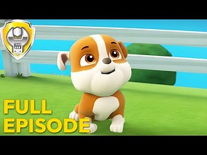 Pups Get A Rubble (Full Episode) | Rubble - Paw Patrol | Cartoons for Kids