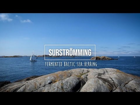 Surströmming - How To Eat It & Enjoy It!